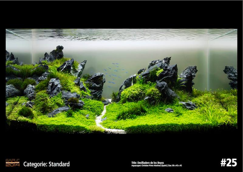 Rank 25 German Aquatic Plants Layout Contest  - GAPLC 2014