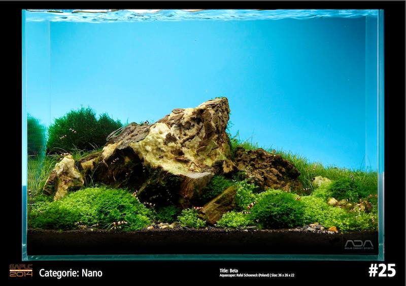 Rank 25 Nano - German Aquatic Plants Layout Contest  - GAPLC 2014