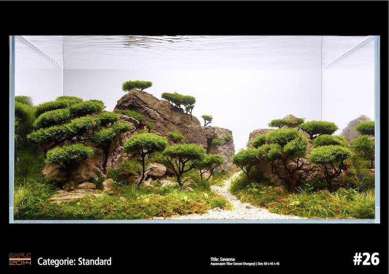 Rank 26 German Aquatic Plants Layout Contest  - GAPLC 2014