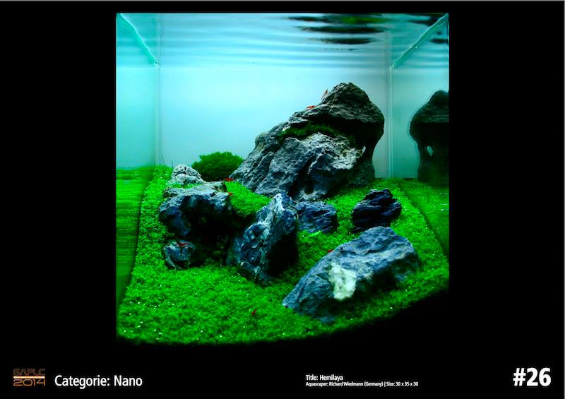 Rank 26 Nano - German Aquatic Plants Layout Contest  - GAPLC 2014