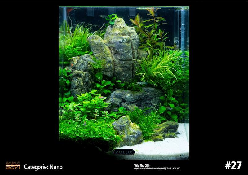 Rank 27 Nano - German Aquatic Plants Layout Contest  - GAPLC 2014