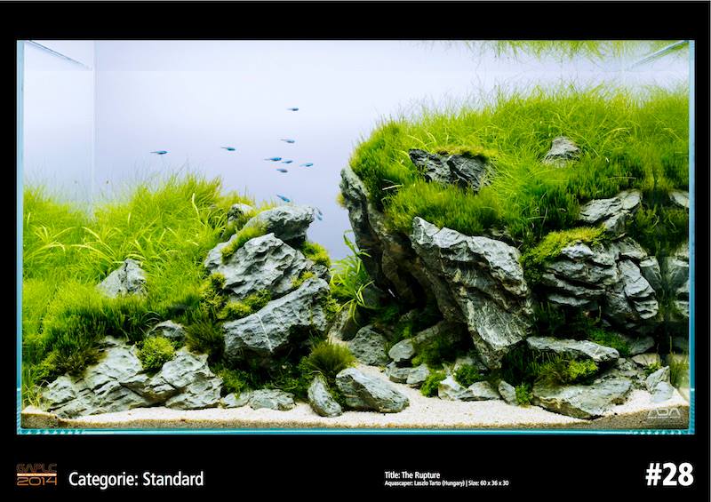 Rank 28 German Aquatic Plants Layout Contest  - GAPLC 2014