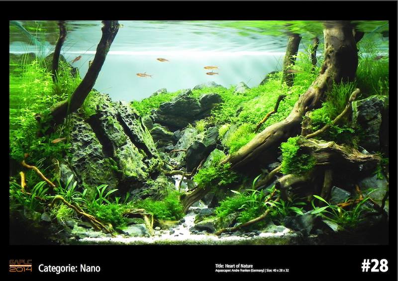 Rank 28 Nano - German Aquatic Plants Layout Contest  - GAPLC 2014