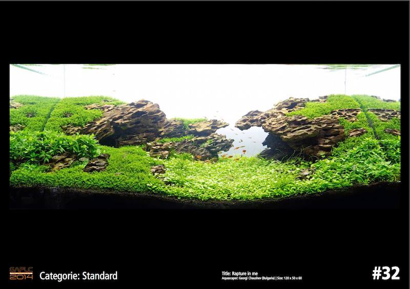 Rank 32 German Aquatic Plants Layout Contest  - GAPLC 2014