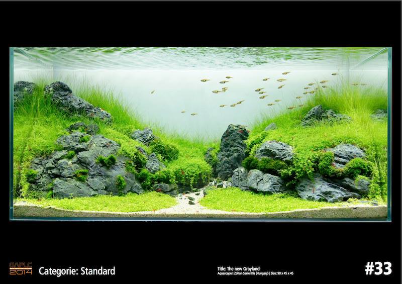 Rank 33 German Aquatic Plants Layout Contest  - GAPLC 2014