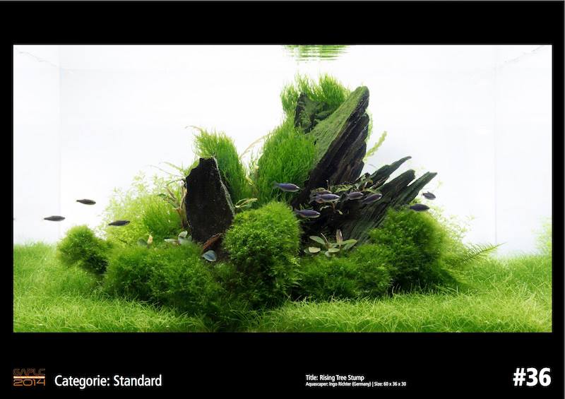 Rank 36 German Aquatic Plants Layout Contest  - GAPLC 2014