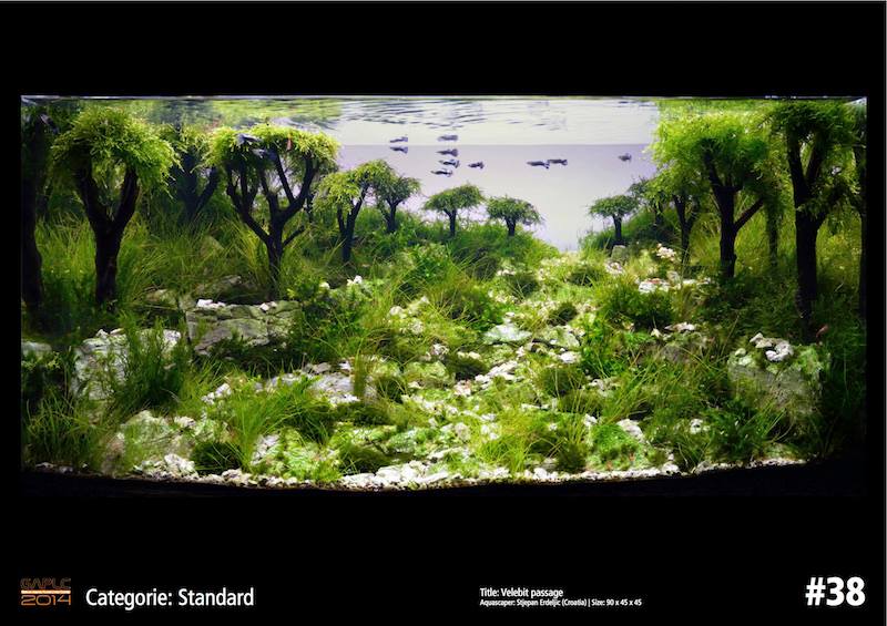 Rank 38 German Aquatic Plants Layout Contest  - GAPLC 2014