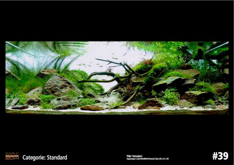 Rank 39 German Aquatic Plants Layout Contest  - GAPLC 2014