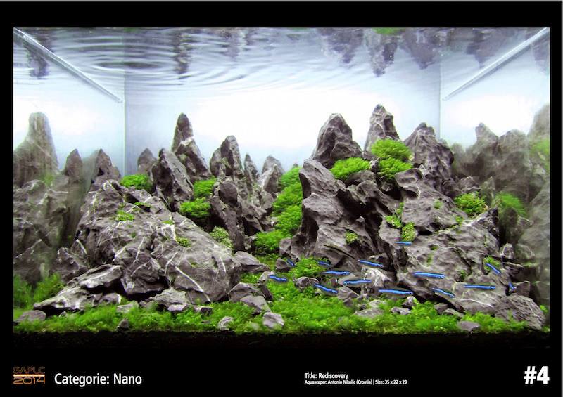 Rank 4 Nano - German Aquatic Plants Layout Contest  - GAPLC 2014