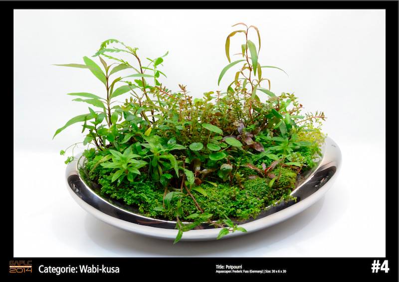 Rank 4 Wabi-Kusa - German Aquatic Plants Layout Contest  - GAPLC 2014