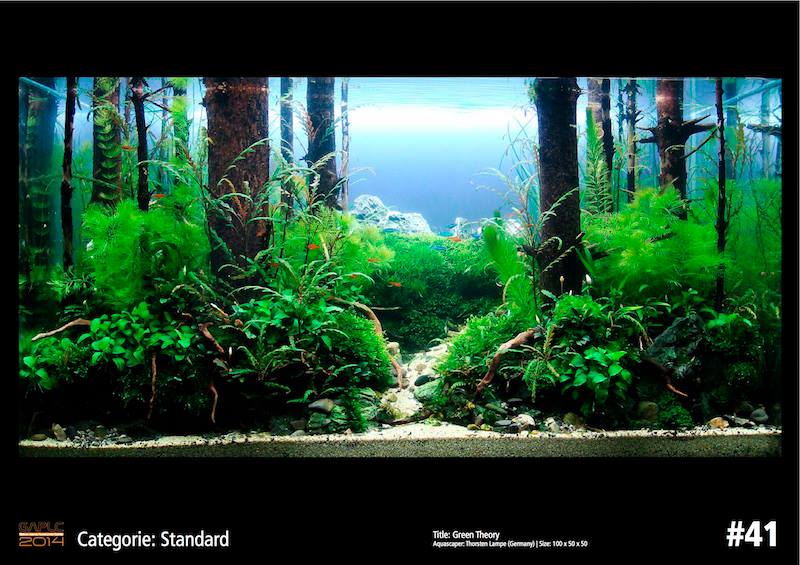 Rank 41 German Aquatic Plants Layout Contest  - GAPLC 2014