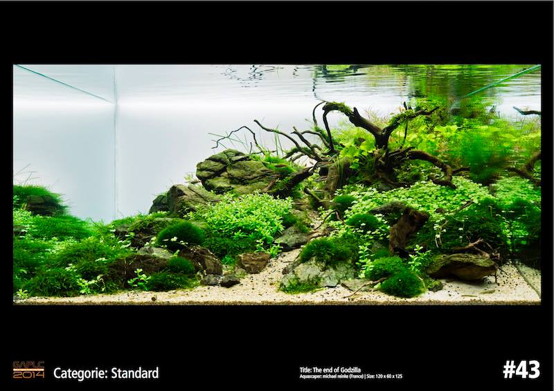 Rank 43 German Aquatic Plants Layout Contest  - GAPLC 2014