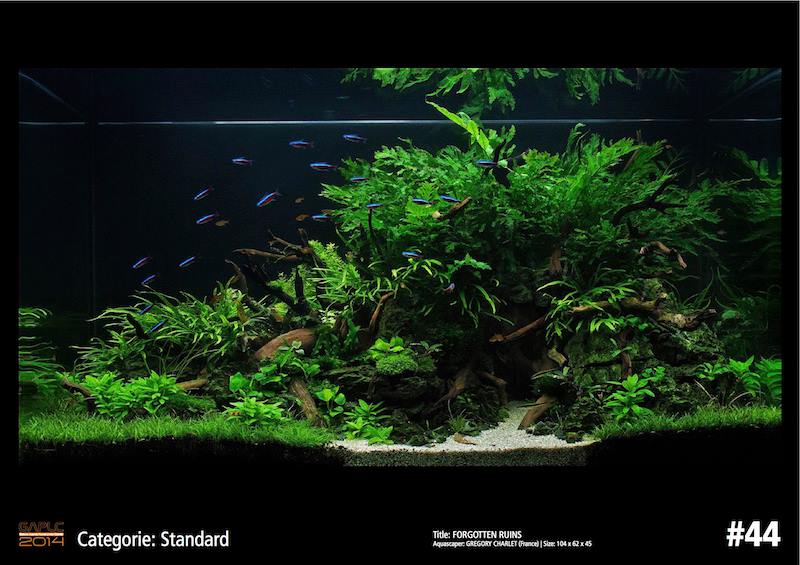 Rank 44 German Aquatic Plants Layout Contest  - GAPLC 2014