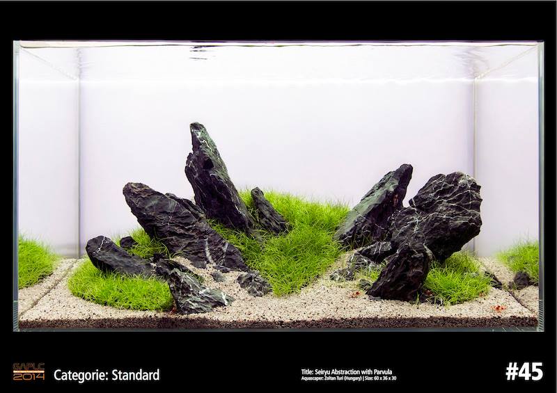 Rank 45 German Aquatic Plants Layout Contest  - GAPLC 2014