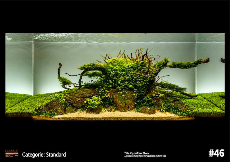 Rank 46 German Aquatic Plants Layout Contest  - GAPLC 2014