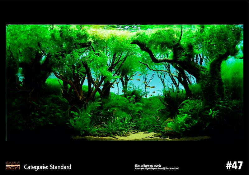 Rank 47 German Aquatic Plants Layout Contest  - GAPLC 2014