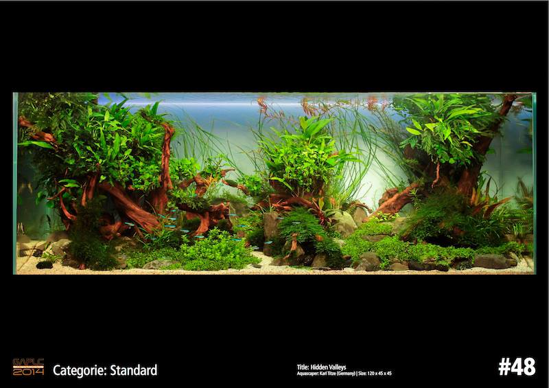 Rank 48 German Aquatic Plants Layout Contest  - GAPLC 2014