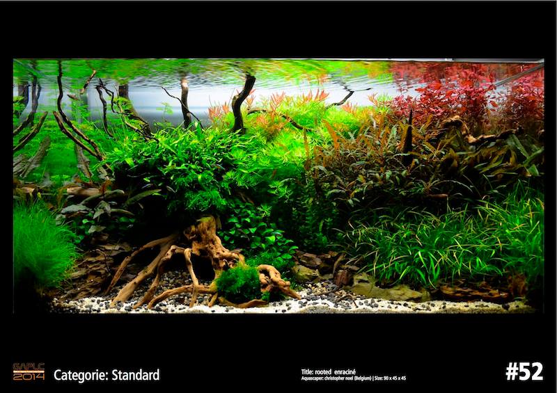 Rank 52 German Aquatic Plants Layout Contest  - GAPLC 2014