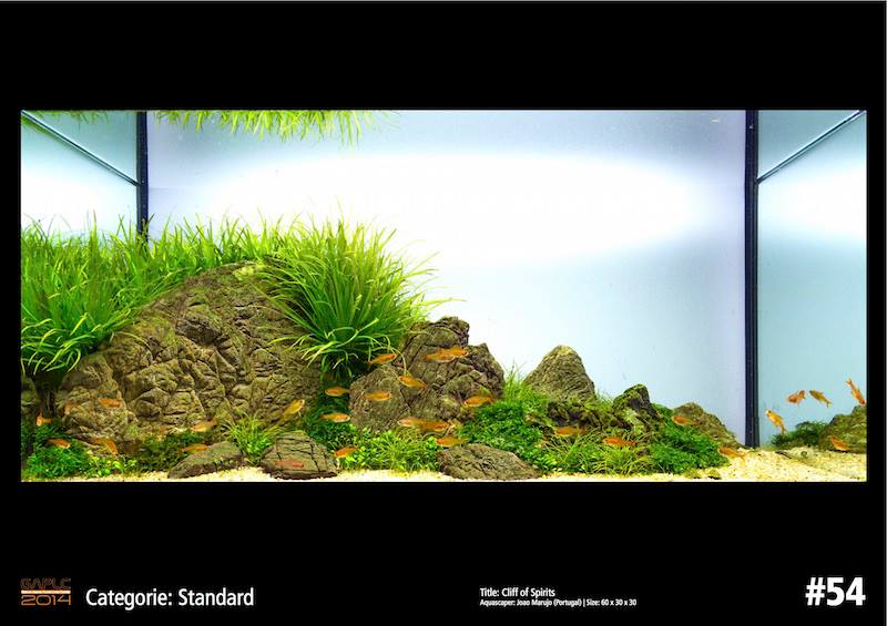 Rank 54 German Aquatic Plants Layout Contest  - GAPLC 2014