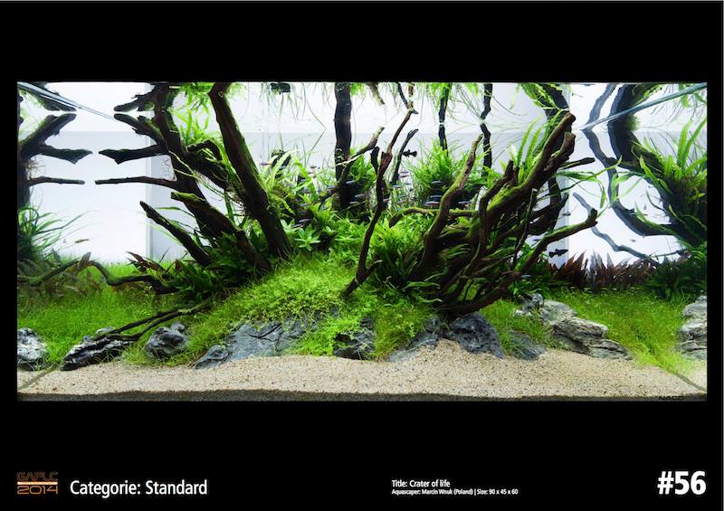 Rank 56 German Aquatic Plants Layout Contest  - GAPLC 2014