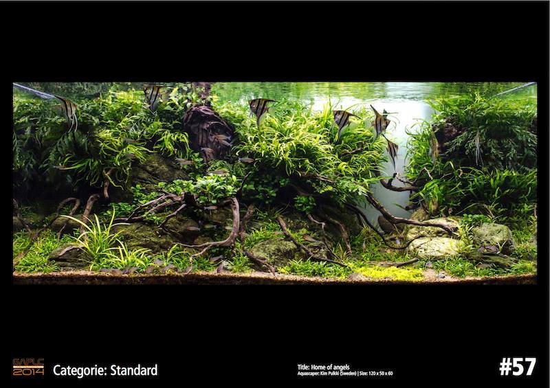 Rank 57 German Aquatic Plants Layout Contest  - GAPLC 2014