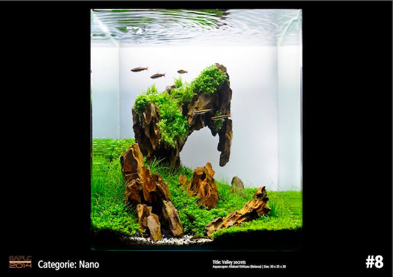 Rank 8 Nano - German Aquatic Plants Layout Contest  - GAPLC 2014