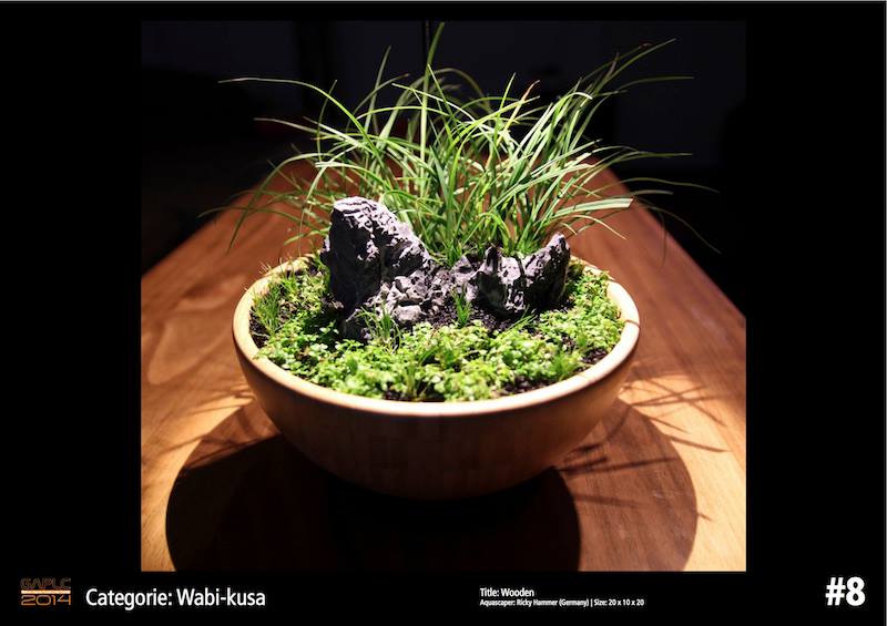 Rank 8 Wabi-Kusa - German Aquatic Plants Layout Contest  - GAPLC 2014