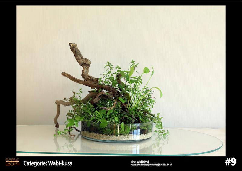 Rank 9 Wabi-Kusa - German Aquatic Plants Layout Contest  - GAPLC 2014