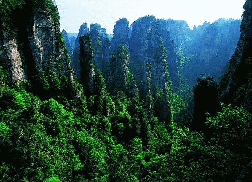 zhangjiajie national forest park - 47º IAPLC 2014