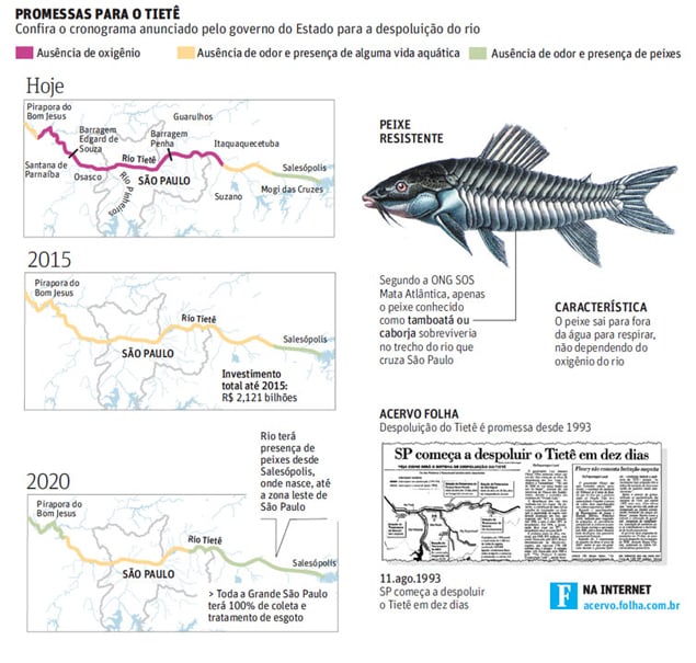 Rio Tietê terá vida aquática em 2015, diz governo