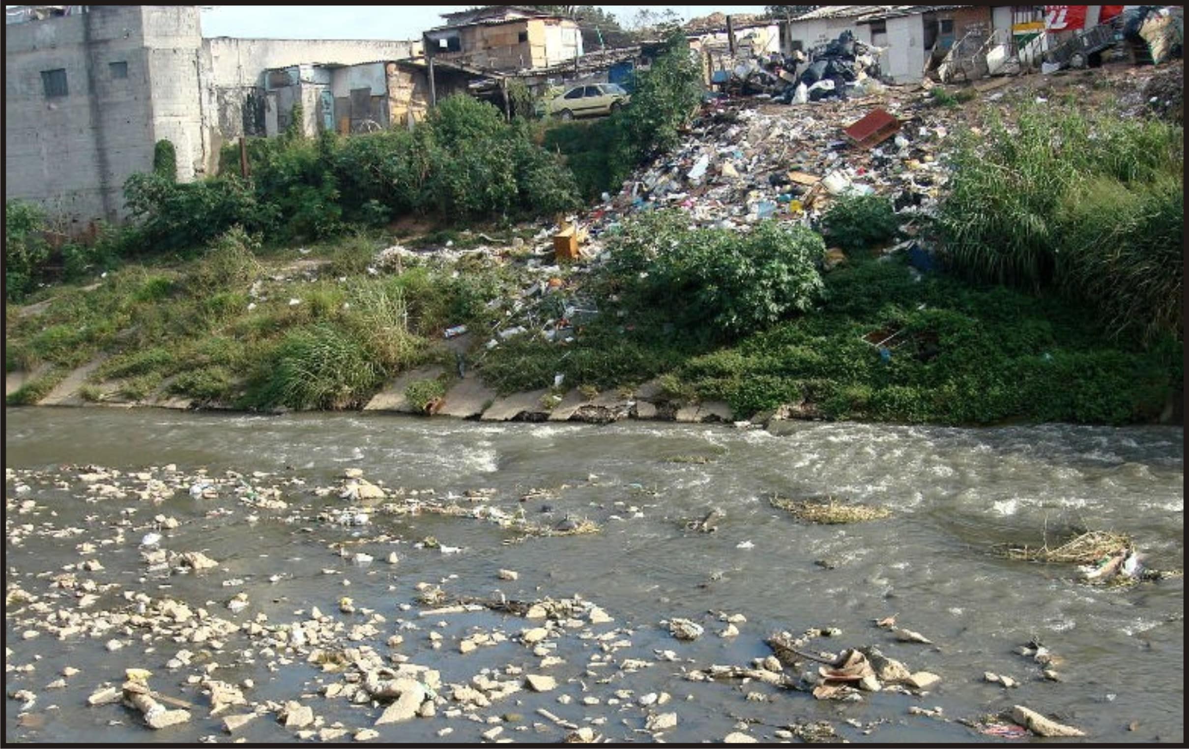 Rio Tietê terá vida aquática em 2015, diz governo sobre despoluição