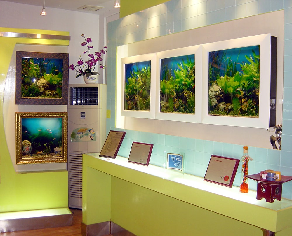 Aquavista panoramic discount wall aquarium