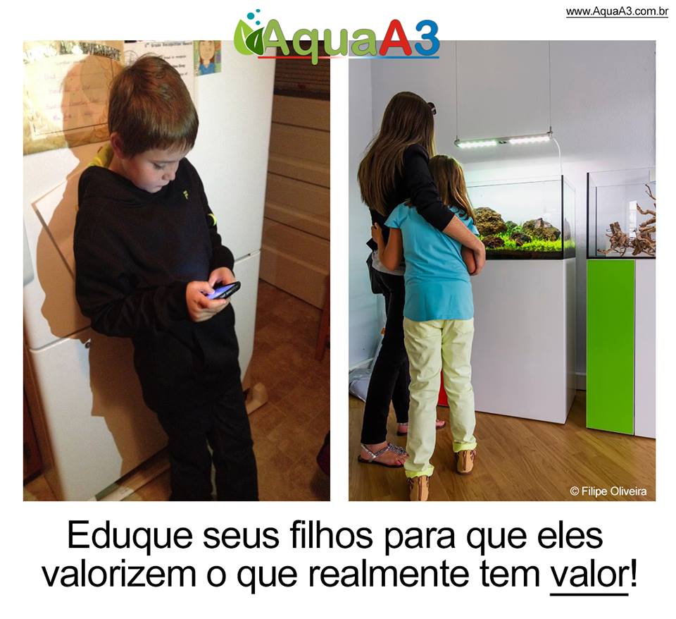 Eduque seus filhos para o aquarismo