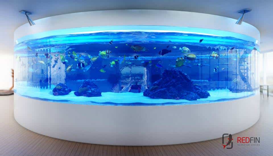 Red Fin Aquarium Design