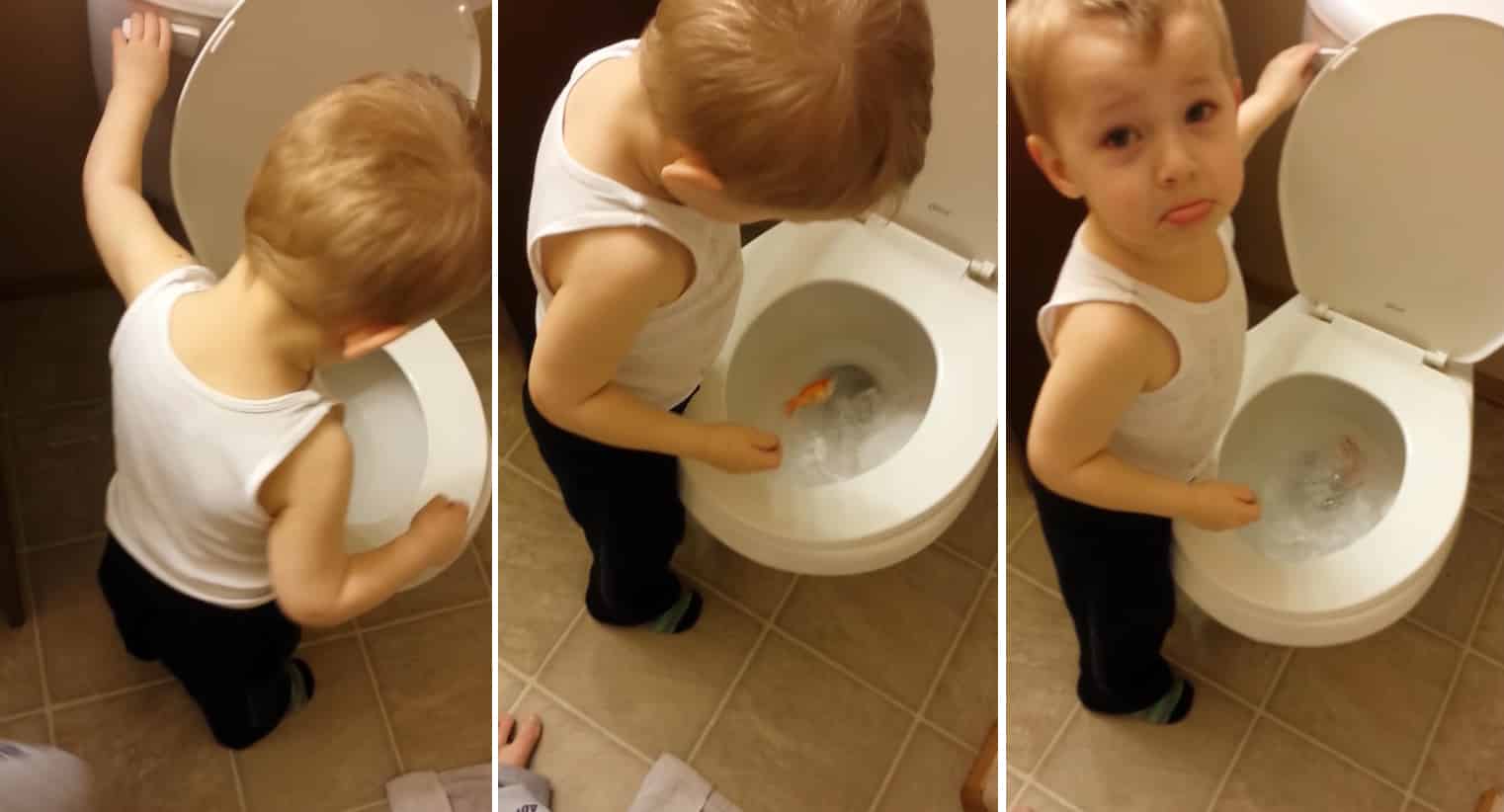 Criança chorando se despedindo do seu peixinho