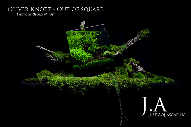 Oliver Knott - Out of Square