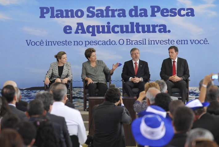 Plano Safra irá auxiliar na criação de peixes ornamentais