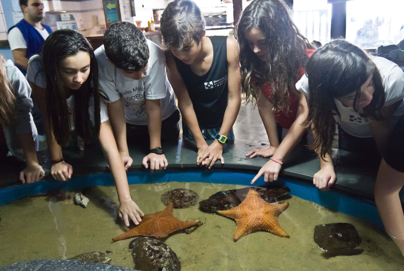 aquario de ubatuba