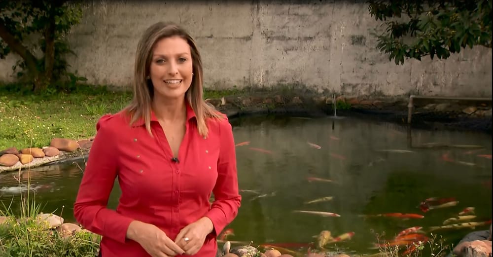 Produção de carpa no RJ movimenta milhões