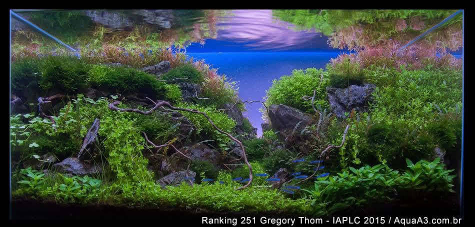 Ranking 251 Gregory Thom - IAPLC 2015