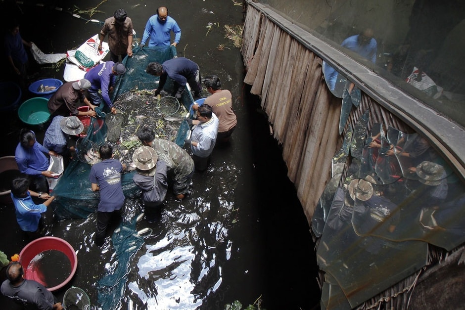 Peixes são retirados de shopping abandonado