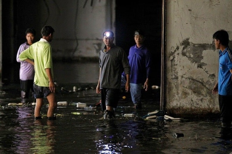 Peixes são retirados de shopping abandonado