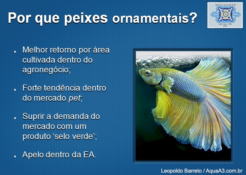 A necessidade dos peixes ornamentais