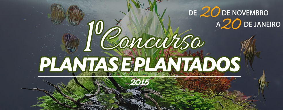 1º Concurso Plantas & Plantados 2015