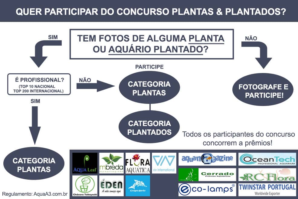 Participe do concurso Plantas e Plantados