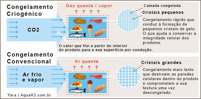 Diferença entre Congelamento Convencional e Congelamento Criogenico