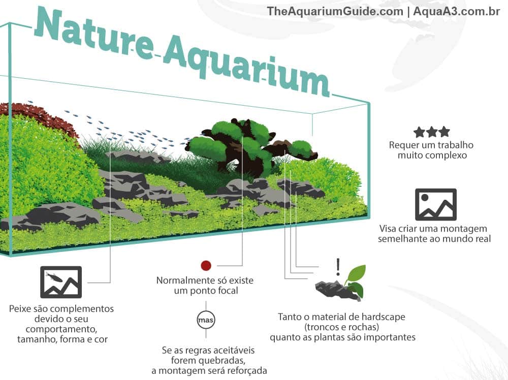 Estilo nature aquarium no aquapaisagismo