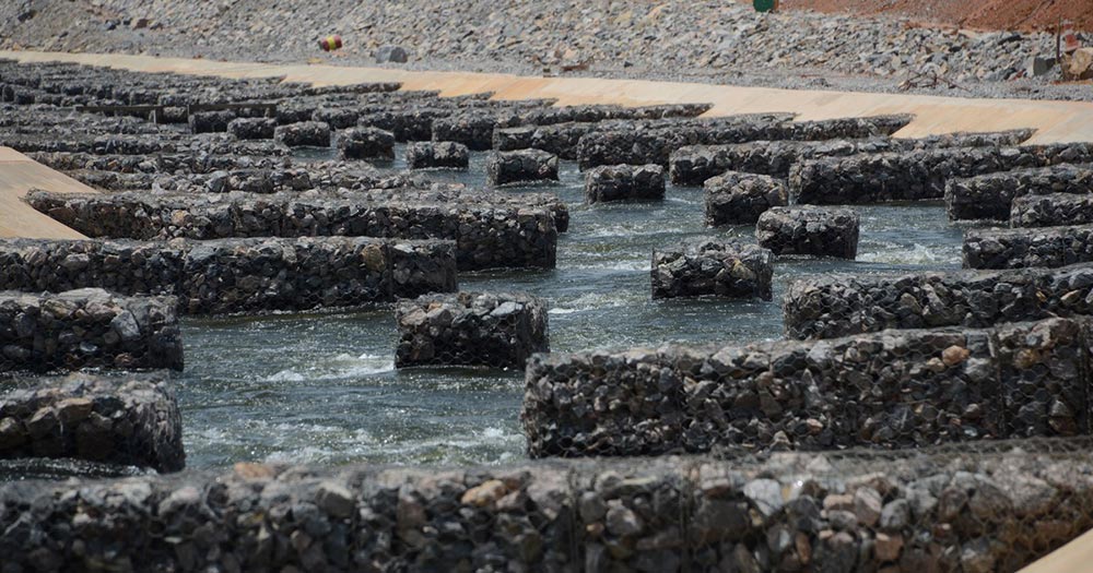 Peixes do Rio Xingu percorrem canais artificiais