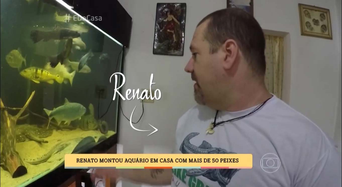 Renato Moterani explica sobre cuidados necessários para se manter um aquário