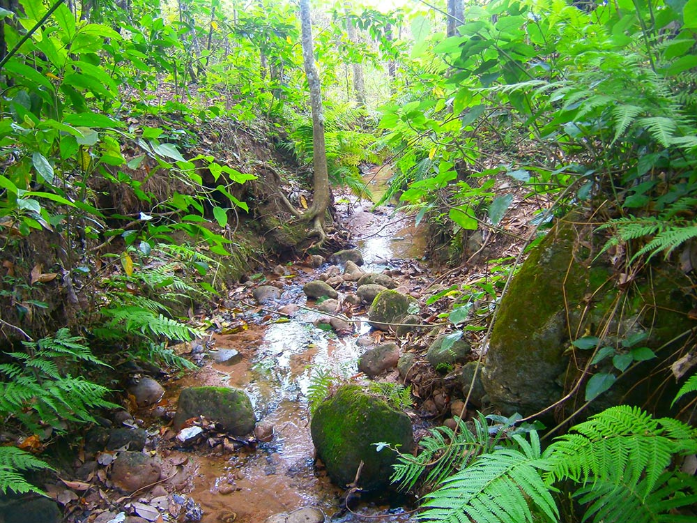 Parque dos Itambés